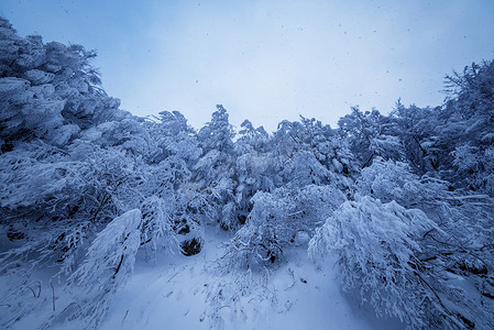 梦幻般的冬季森林景观中美丽的降雪。