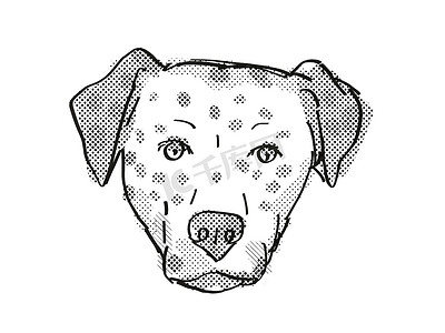 Bullmatian 狗品种卡通复古绘图