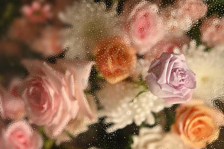 冷雾玻璃，里面有美丽的粉红玫瑰和白菊花，里面有滴水，用于花卉植物壁纸
