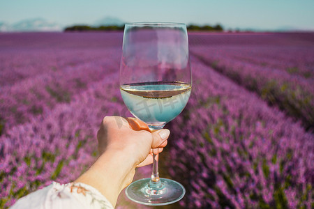 紫色酒杯摄影照片_普罗旺斯薰衣草田背景上拿着白葡萄酒杯的女性手。
