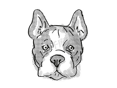 法国斗牛犬品种卡通复古绘图