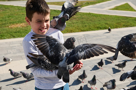 白人少年男孩在夏季城市公园广场喂养飞翔的鸽子群。
