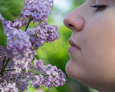 白种女人嗅着盛开的丁香花。