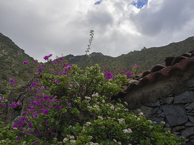 紫色热带花卉与老石屋和青山白云天空背景