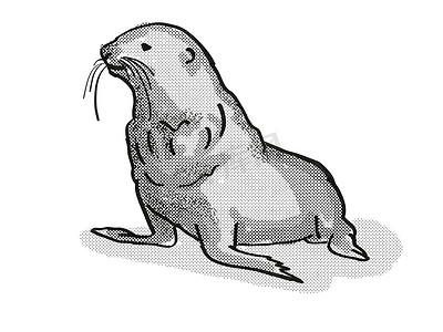 网点与波点摄影照片_毛皮海豹新西兰野生动物卡通复古画