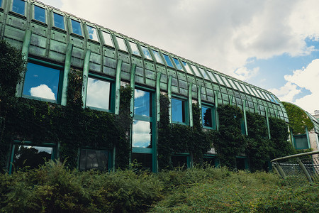 大学环境摄影照片_华沙大学图书馆现代建筑和绿化屋顶上的植物园。