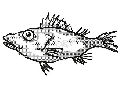 Longsnout 无线 Scorpionfish 澳大利亚鱼卡通复古绘图