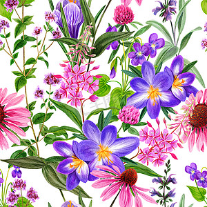 水彩无缝图案、粉红色野花和香草