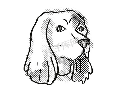 宠物手绘卡通摄影照片_可卡犬品种卡通复古绘图