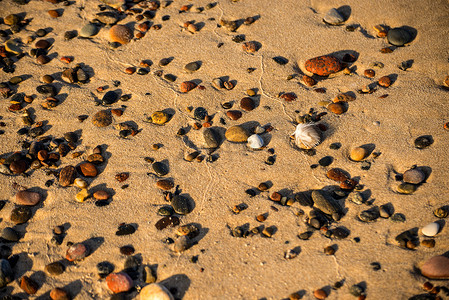 沙滩上的鹅卵石与羽毛