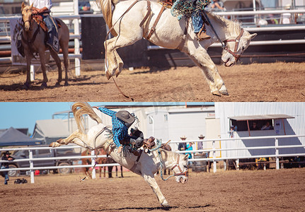 拼色摄影照片_Cowboy 和 Bucking Saddle 野马拼贴画
