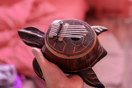 民族乐器碰铃摄影照片_以乌龟形式出现的卡林巴乐器，有选择的焦点。