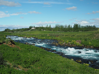 绿草中的野蓝冰川溪流，杨树和阳光明媚的蓝天小云