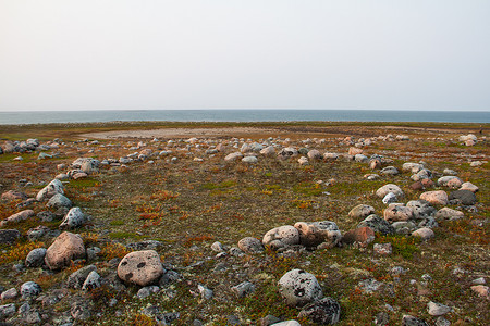 古代山水场景摄影照片_阿尔维亚特以北哈德逊湾沿岸的几个因纽特人帐篷环遗迹，位于一个名为 Qikiqtarjuq 的地方
