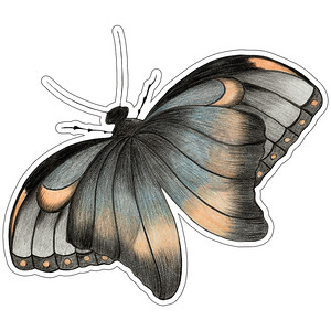 贴纸蝴蝶摄影照片_孤立在白色背景上的手绘蝴蝶贴纸。