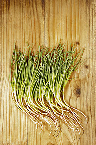 Agretti , salsola 苏打蔬菜