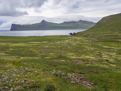 西峡湾美丽的 Hornbjarg 悬崖风景优美，冰岛偏远的 Hornstrandir 自然保护区，拥有绿色草地、鲜花、水流和山丘、蓝色大海和多云的天空背景