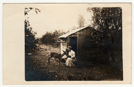 复古照片显示女人喂母鹿。