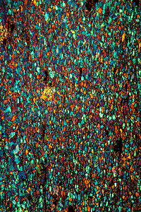 小鸟吃米卡通摄影照片_100x 显微镜下的米卡西斯矿物