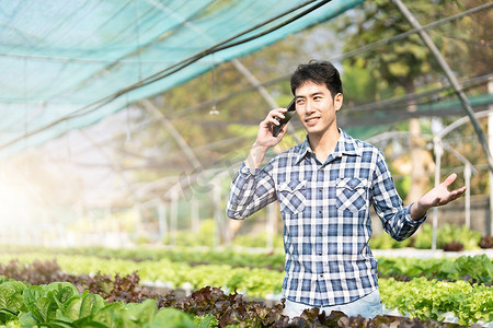 亚洲农民在蔬菜水培农场使用手机快乐地工作。