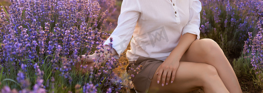美丽的年轻健康女性，身着白色裙子，在夕阳的光芒下，拿着一顶草帽，快乐地穿过薰衣草田
