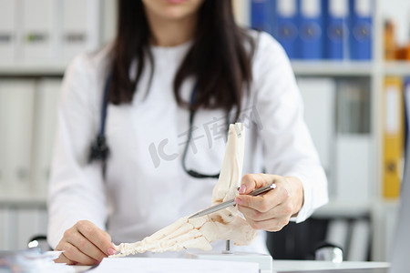 骨科医生通过指向模型点来解释骨骼模型的生理学