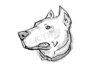 Dogo Argentino 或阿根廷獒犬品种卡通复古绘图