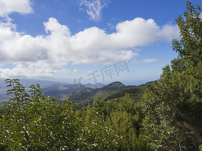 西班牙特内里费岛加那利岛阿纳加山尖峰的观点，有绿色柏树丛和蓝天白云背景