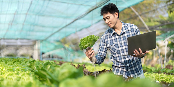 农场蔬菜摄影照片_年轻的亚洲农民在他的农场记录数据，试图在笔记本电脑中收集和检查蔬菜