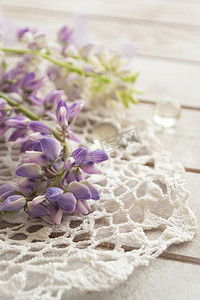 白色背景上带有复古花边的紫色羽扇豆花。