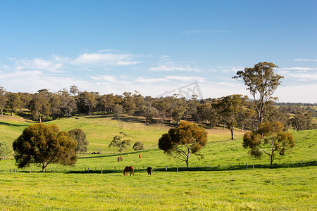 马云动漫摄影照片_澳大利亚维多利亚马尔登附近的乡村景观