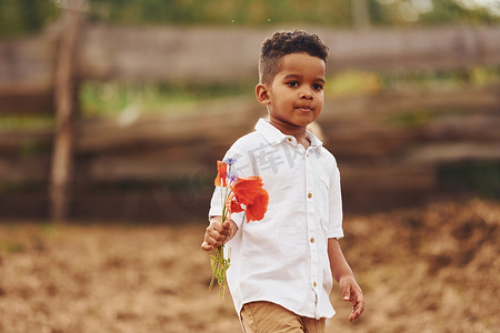 夏季，可爱的非洲裔美国小男孩在农场里拿着红花
