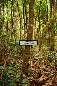 菲律宾甘米银的曼蒂格岛自然公园