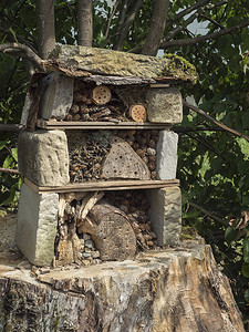 蜜蜂和蝴蝶摄影照片_由砂岩和木材、瓢虫和蜜蜂之家为蝴蝶冬眠和生态园艺自制的昆虫旅馆装饰虫屋。