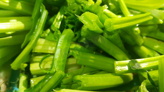 绿色蔬菜基地摄影照片_菠菜或 paalak saag 郁郁葱葱的绿叶基地的近景
