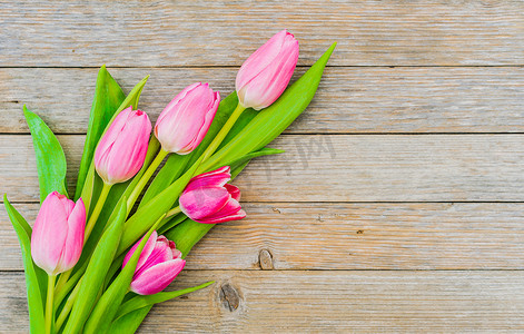 木制背景上的一束粉红色郁金香花
