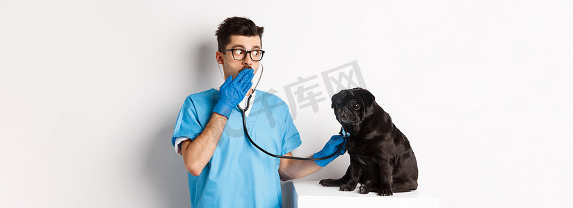 兽医诊所的震惊医生用听诊器检查狗，惊奇地喘着粗气，而可爱的黑色哈巴狗仍然坐在桌子上，白色背景