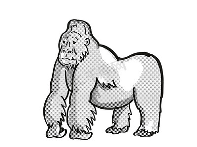 山银背大猩猩濒危野生动物卡通单线画