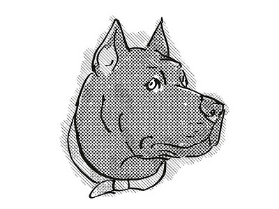 卡通哺乳动物摄影照片_甘蔗科索狗品种卡通复古绘图