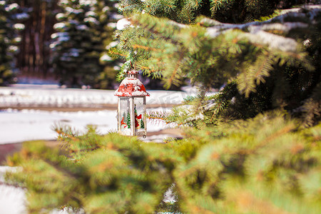 雪冬日冷杉树枝上的装饰圣诞灯笼