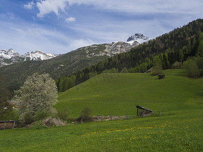 绿色的春天草地，干草棚和盛开的花草树木，森林和白雪覆盖的山峰在 Stubai 山谷，蓝天白云。