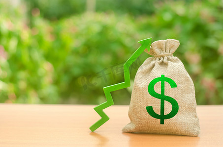钱袋子箭头摄影照片_与美元符号和绿色向上箭头的钱袋子。