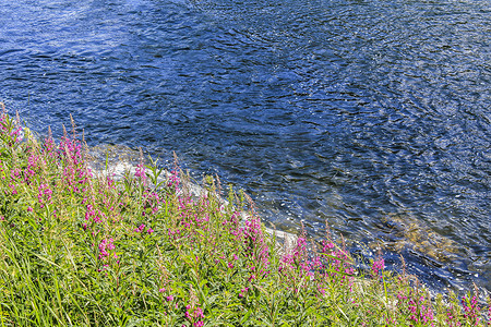 瀑布蓝色摄影照片_流淌着粉红色花朵的美丽蓝色河湖，挪威海姆瑟达尔。