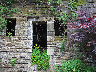 一栋废弃的石头乡村房屋的正面，窗户空荡荡，门口长满五颜六色的杂草常春藤和野花
