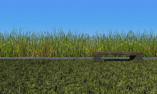 3d 渲染绿色野草田和天空模型