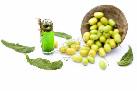 印度丁香果的新鲜绿色 neem 果子放在一个粘土碗里，与透明玻璃瓶中的浓缩精油或香精一起分离在白色上。