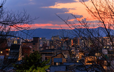 金色城市背景摄影照片_美丽的夕阳穿过光秃秃的树枝，背景是城市的灯光