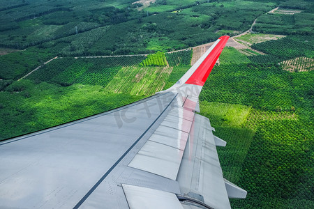 从飞机窗口看到的绿色田野