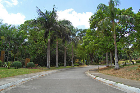 Meralco 发展中心 (MMLDC) 路径与 Sumulon 的树木