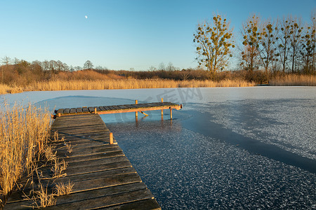 结冰的湖面和芦苇上的木桥